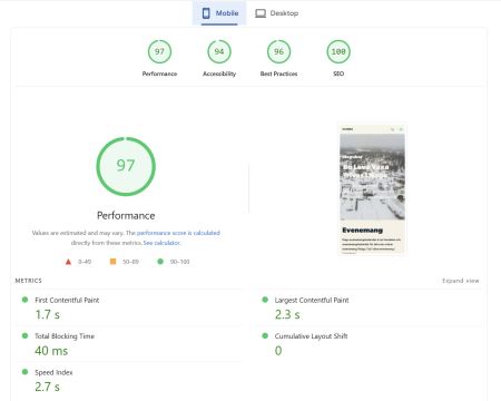 pagespeed nagubor.fi mobile