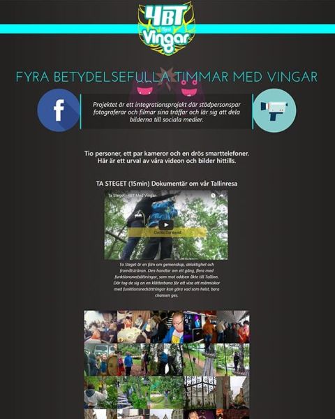 Web Design 4BT Med Vingar Project Website