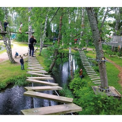 Ta Steget take the step