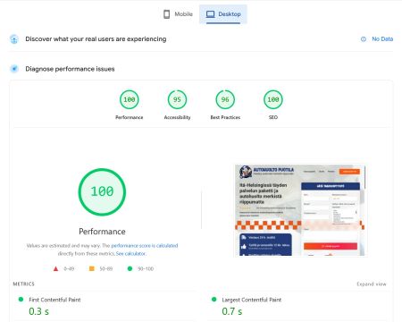 autohuolto puotile google pagespeed 100 desktop