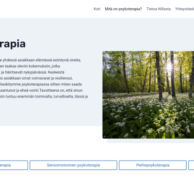Screenshot nillahlstrom.fi mitä on psykoterapia osio