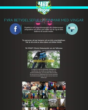 Web Design 4BT Med Vingar Project Website